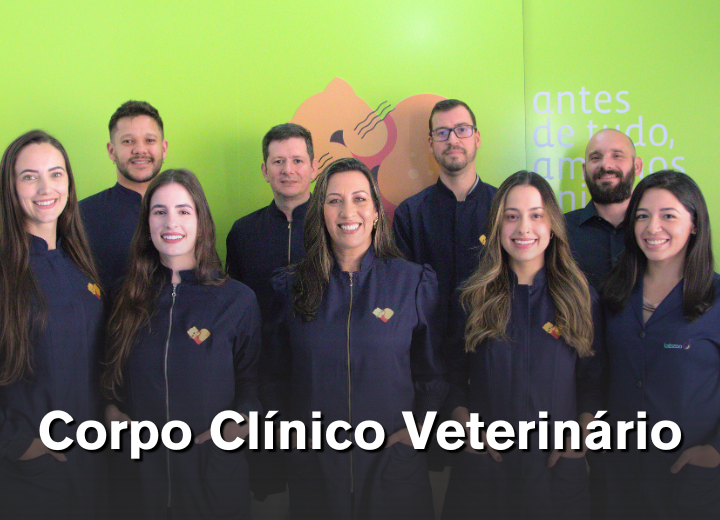 Equipe de Serviços Gerais (3)